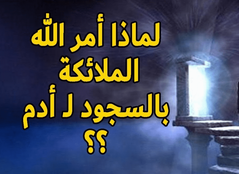 لماذا امر الله الملائكة بالسجود لادم ؟