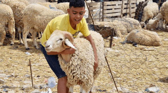 كم باقي على عيد الأضحى ؟