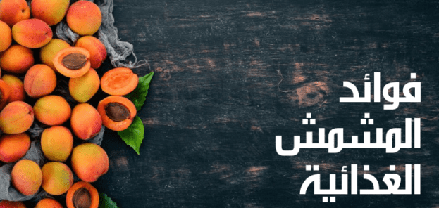 فوائد المشمش