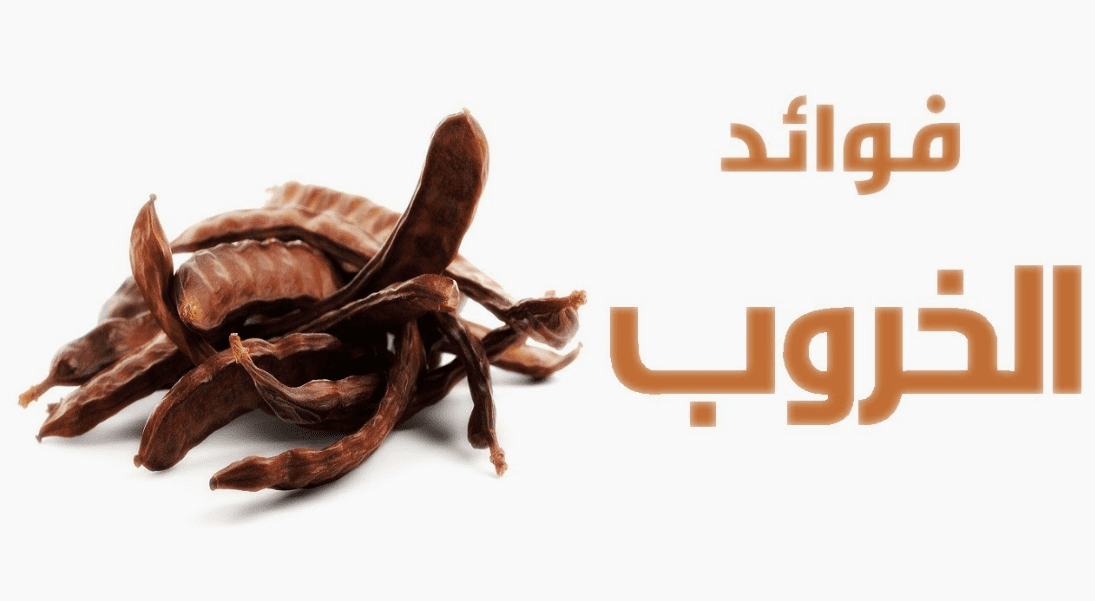 فوائد الخروب