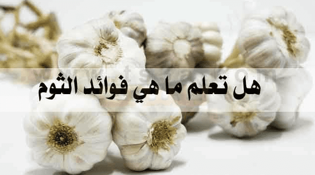 فوائد الثوم