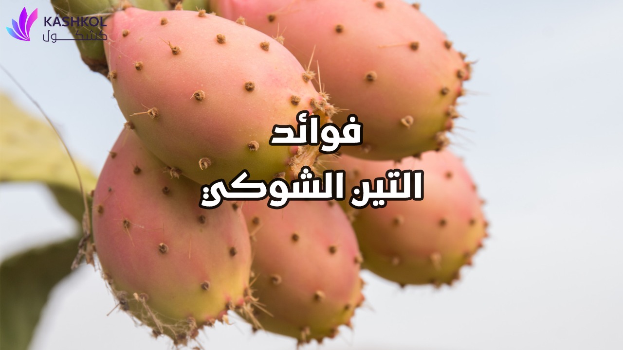 فوائد التين الشوكي