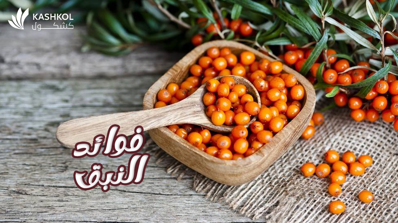 فوائد النبق