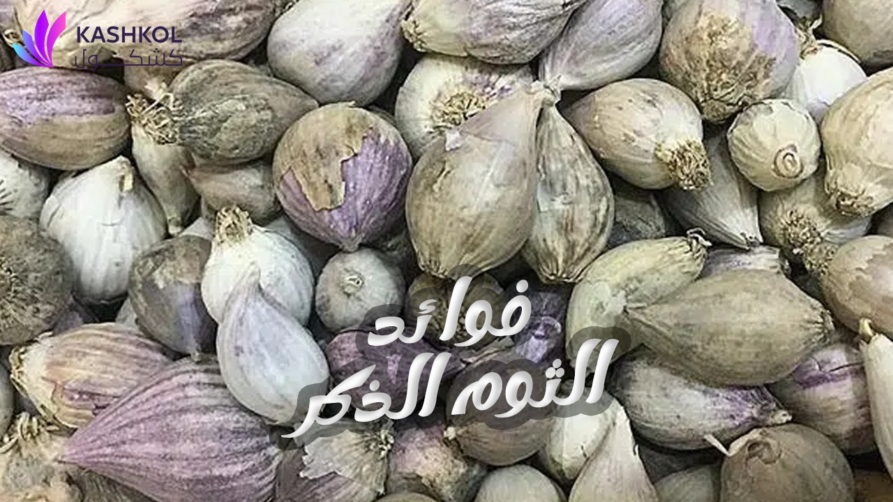 فوائد الثوم الذكر