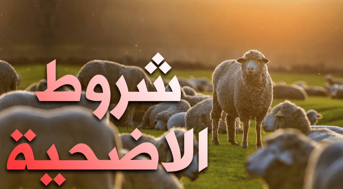 شروط صحة الأضحية