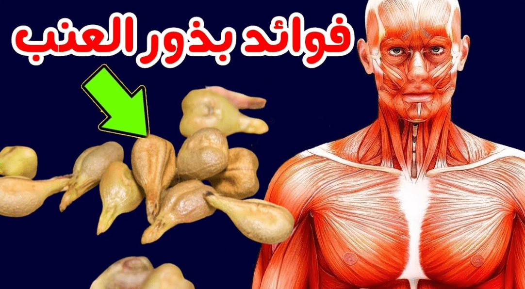 فوائد بذور العنب