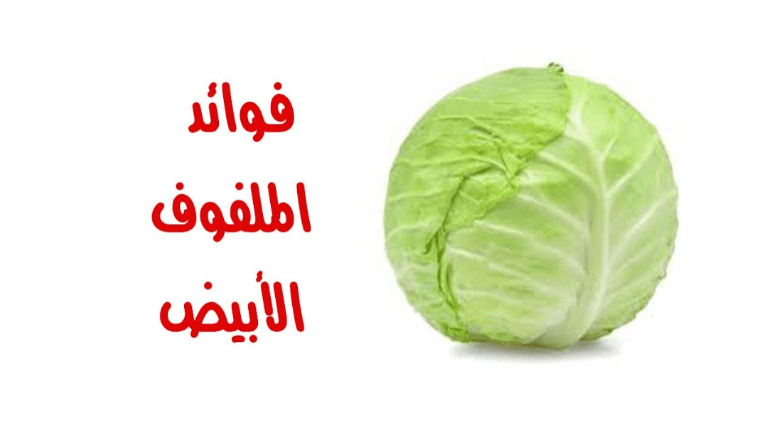 فوائد الملفوف الابيض