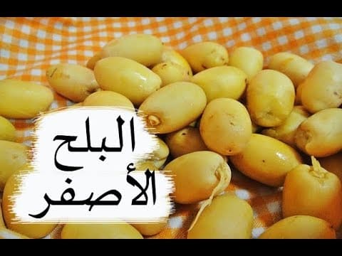 البلح الاصفر