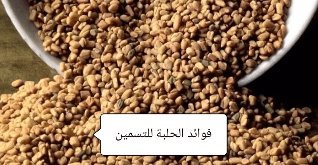 فوائد الحلبة للتسمين