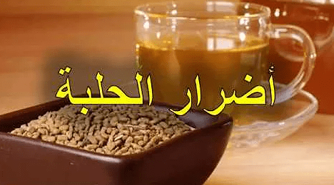 أضرار الحلبة على الكلى