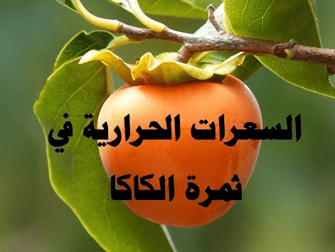 السعرات الحرارية في الكاكا