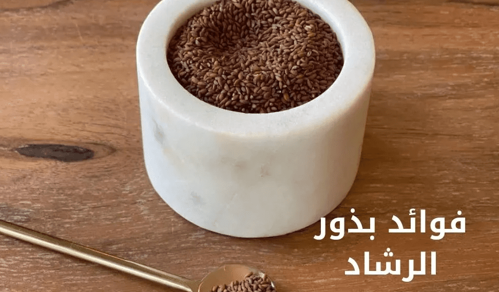 فوائد بذور الرشاد